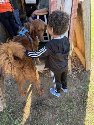 Friendly greeter dog named Blu