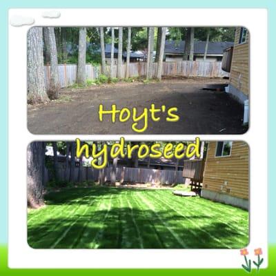 Had Hoyt's Hydroseeding do our backyard last summer. We are very impressed!!