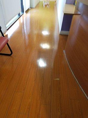 Laminate floor mainten.