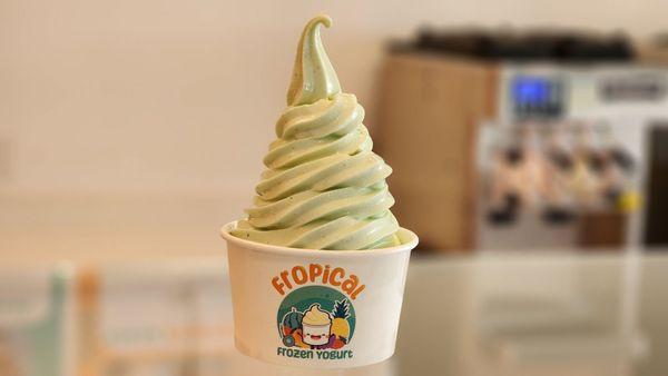 Fropical Frozen Yogurt