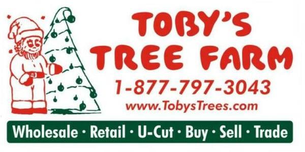 Toby's Christmas Trees