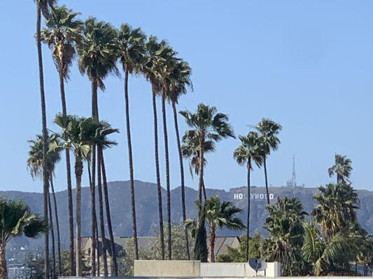 La Jolla Courtyard Apts