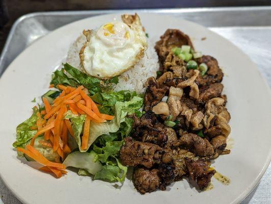 The pork and egg rice plate