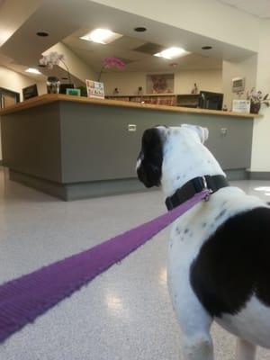 Luke, eager for his checkup. Give me that thermometer, doc!