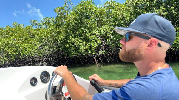 Cruising the mangroves