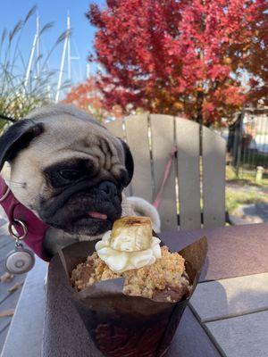 Muffin taste tester