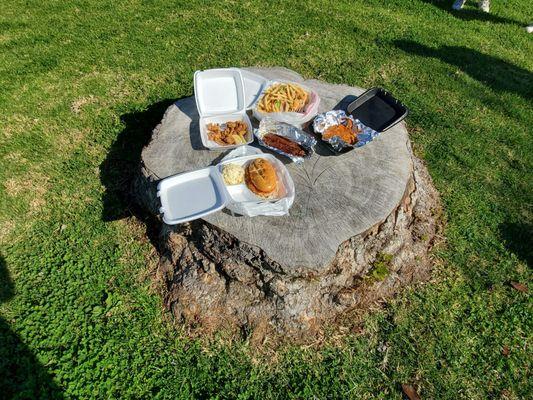 There's a large tree stump big enough to be a dining table (but not tall)