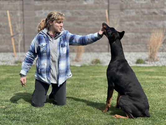 My Best Pal Dog Training