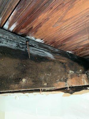 Interior ceiling with mold and rot.