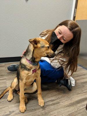 Animal Hospital At Grayhawk