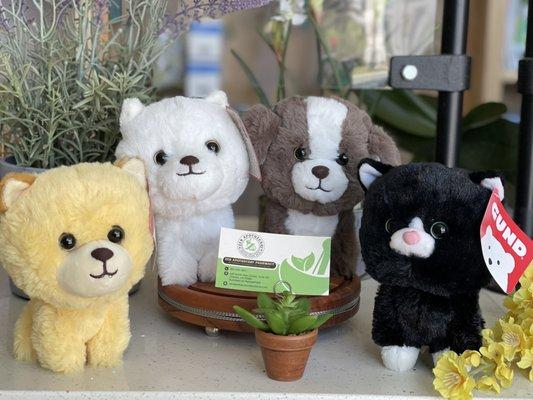 Super cute Gund Pet Store friends are here. Collect them all!