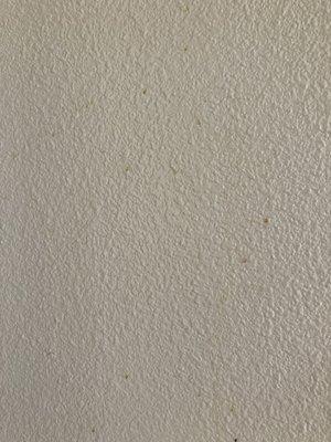 stains on wall