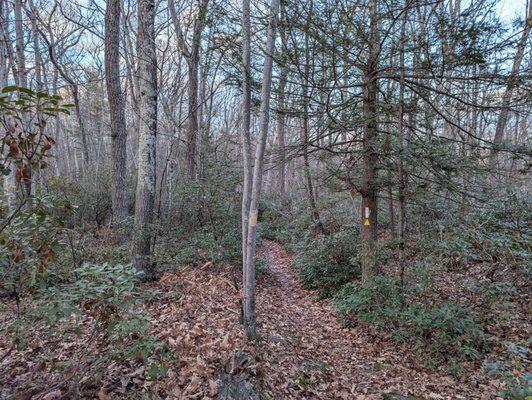 Appalachian Trail and Yellow Trail at the Pawling Nature Reserve.