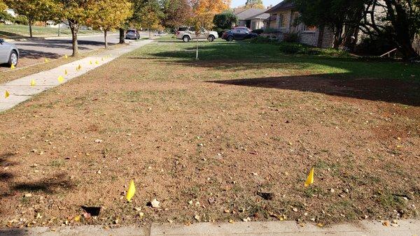 Lawn leveling service, removing depressions and holes.