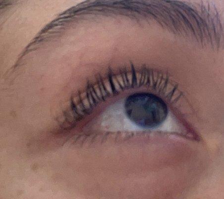 Left eyelashes 3 week after lash lift. I have mascara on. These came out good!