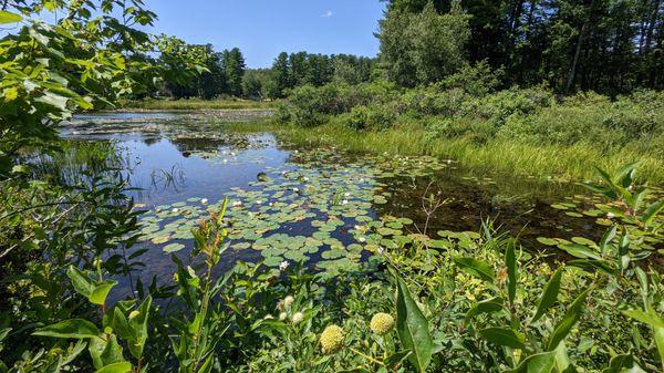 Sebago Trails Paddling Company