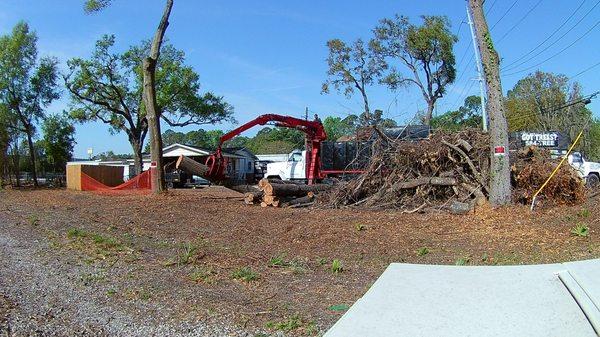 one of our grapple trucks at work at our many locations in Jacksonville florida