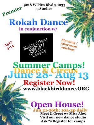 Summer camps!