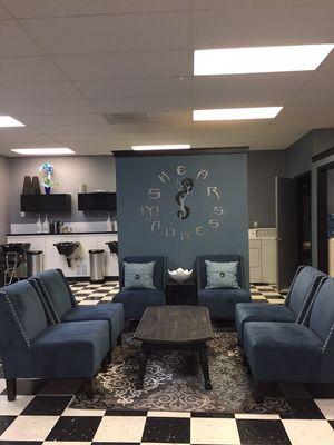 Pictures of the Salon