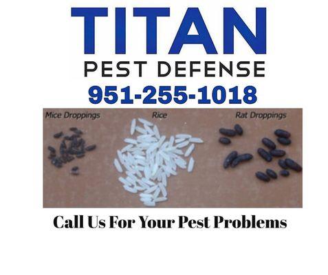 Titan Pest Control is a local and family owned company dedicated to managing the seasonal invaders and unwanted pests. Call 951-255-1018.