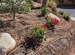 Rain Bird Drip Irrigation