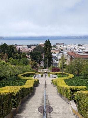 View from the top of Lyon Street stairs