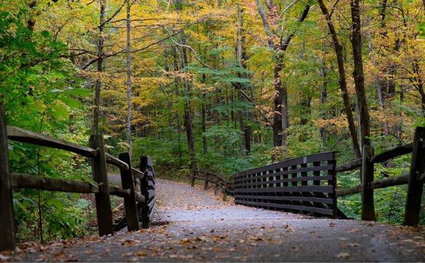 Fall colors surrounding one of the bridges.