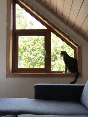 Delmer enjoying his view at his new home in Norway