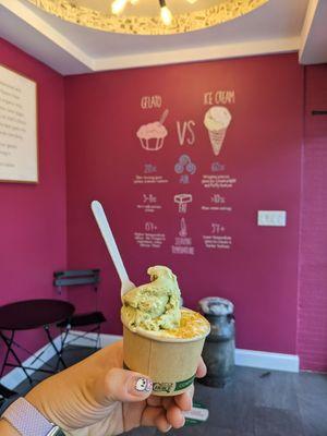 Gelato vs ice cream wall w/ pistachio & creme brulee