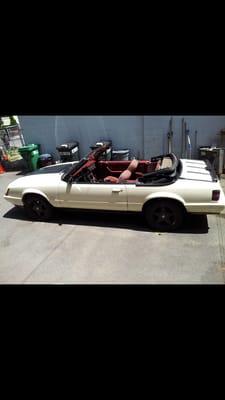 Sandras 86 Mustang GT 5.0 convertible....AKA "the four eyed fox"