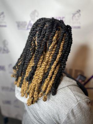 Invisible Twists/Locs