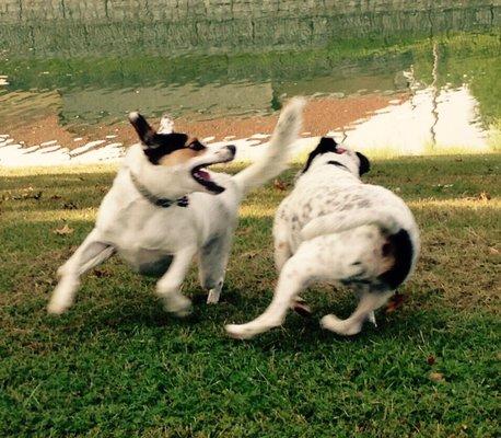 Shelby (left) and Tino playing