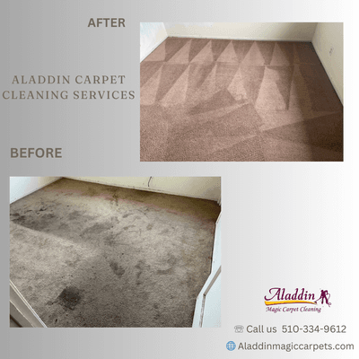 Aladdin carpet cleaning services