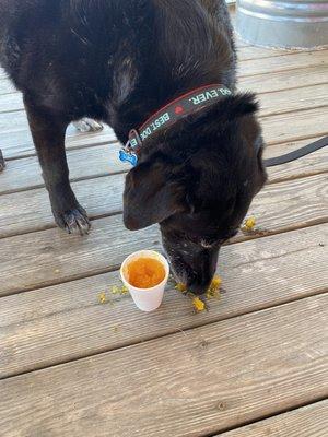 Luke loves his pup cup!