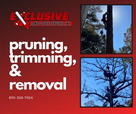 Exclusive Land & Tree Services