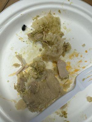 Fui por un tamal de pollo y resultó tamal de mosca  No puede ser que esto suceda en un lugar tan frecuentado.