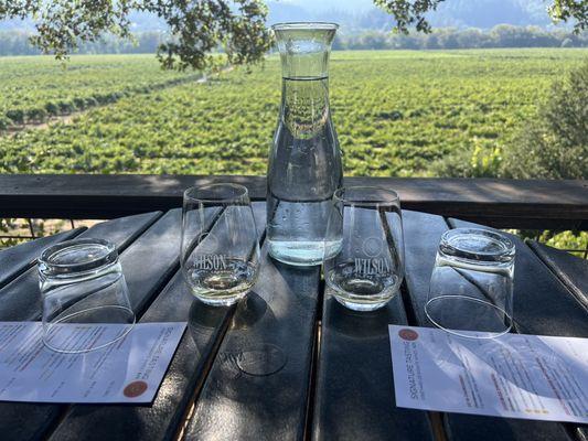 Patio wine tasting