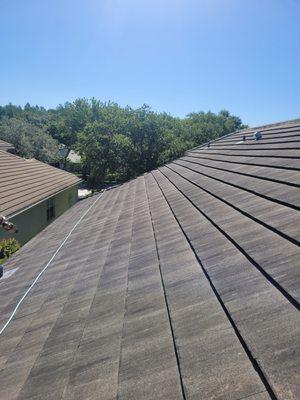 roof cleaning