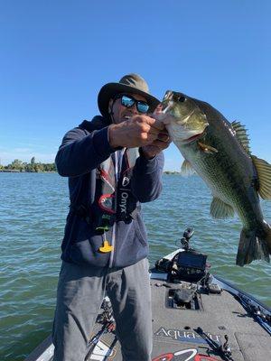 monster bass on a buzz bait