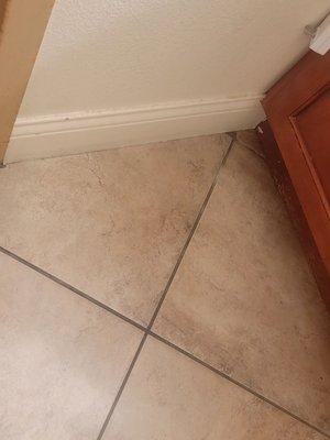 Dirty baseboards and grout that was once a lighter hue but is now black from filth