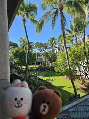 Honolulu International Airport Cultural Gardens