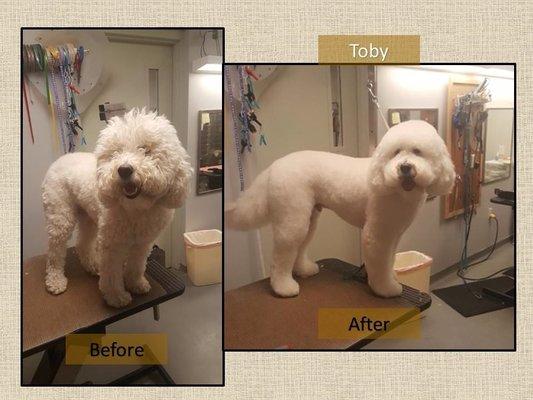 We Offer Grooming!