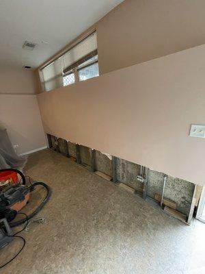 Mold Removal