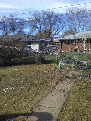 when wisdom tree care damages your property, their violent tempers explode if you confront them about it