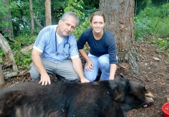 Sometimes Bears need to see the vet too