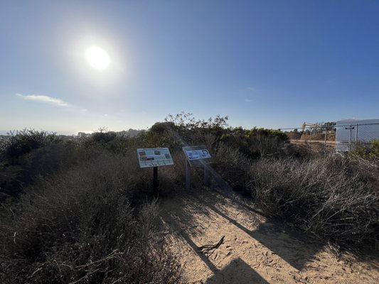 Torrey Pines Extension