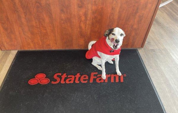 Dan Tice - State Farm Insurance Agent