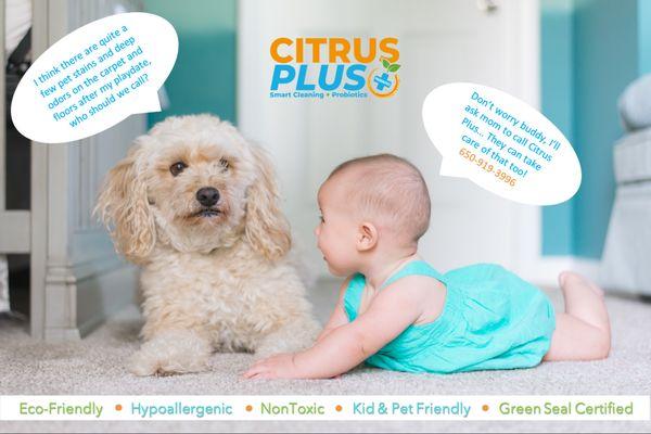 Any deep odors or pet accidents in your carpet, rugs or upholstery? We have a special non-toxic, eco-friendly treatment! Get a FREE Quote!