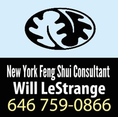 Schedule a Feng Shui Consultation with Will LeStrange, Innovative Feng Shui design Expert in New York