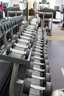 We have LifeFitness and Hammer Strength Equipment